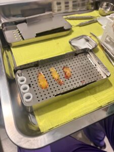 membranas ricas en factores de crecimiento